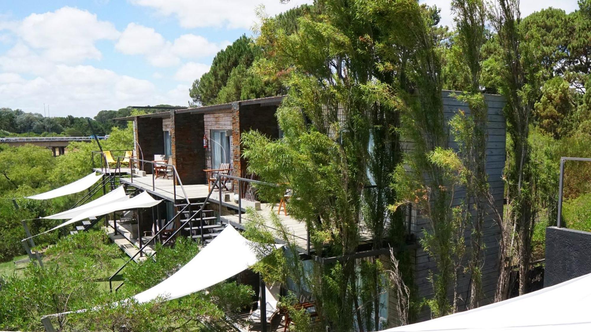 Dalarna Sma Hotell Chihuahua Dış mekan fotoğraf